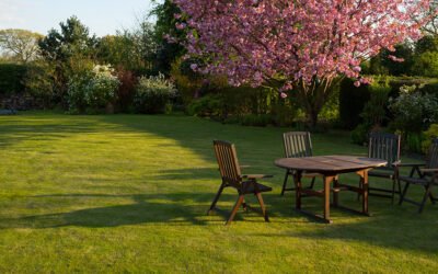 Have a pet? Here are 7 tips to keep your house clean