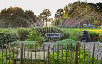 7 ways to keep a small apartment clean